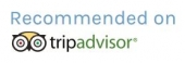 tripadvisor